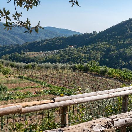 Poggio Al Mandorlo Villa Greve in Chianti Kültér fotó