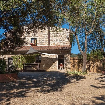 Poggio Al Mandorlo Villa Greve in Chianti Kültér fotó