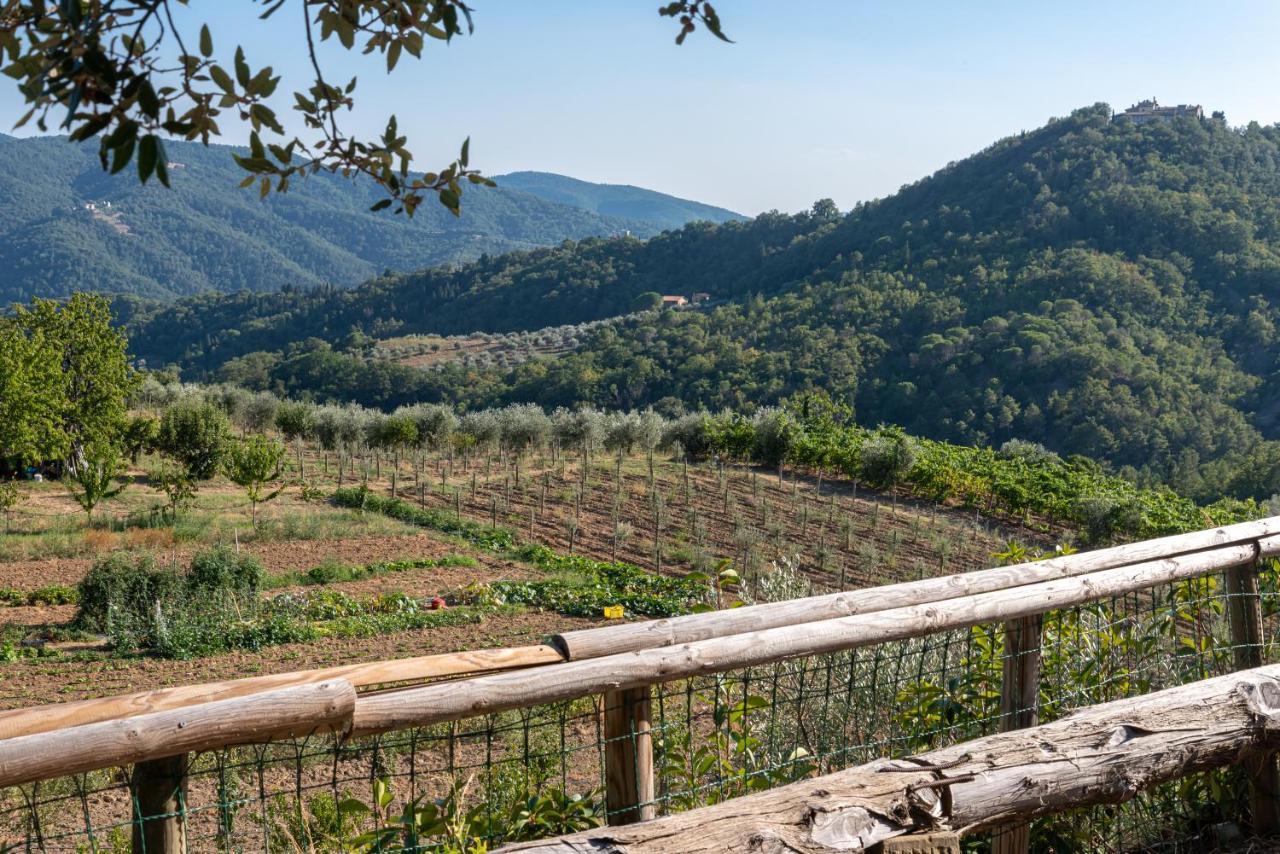 Poggio Al Mandorlo Villa Greve in Chianti Kültér fotó